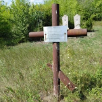 Петрунеля Гродзь