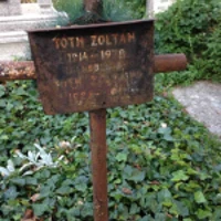 Zoltán Tóth