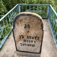 Yehuda Shenter