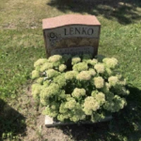 Maria Lenko