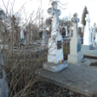 Матрона Птиця