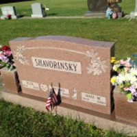 Dale Shavorinsky