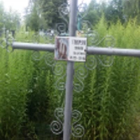 Любовь Говоруха