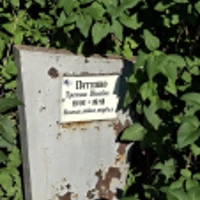 Кристина Патенко