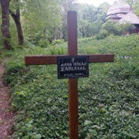 Анна Харцдчак