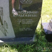 Володимир Кульгавець