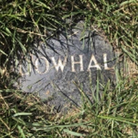 Joanna Dowhal