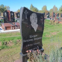 Володимир Білевич
