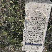Eliyahu Anner.