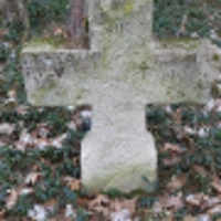 Chrystyna Panius