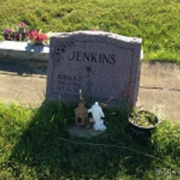 Ronald Jenkins