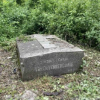 Adolf Trachtendergowie