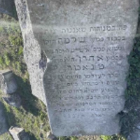 SHLOMO TANATER