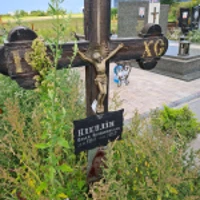 Ольга Ніколін