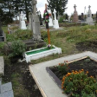 Микола Струс