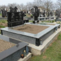 Степанія Сіра