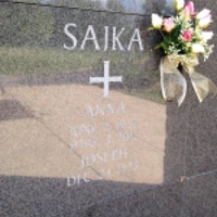 Anna Sajka