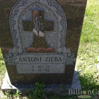Antoni Zieba