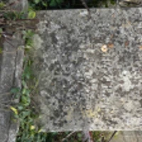 KULACS ROZALJA
