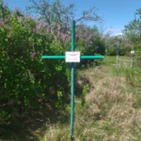 Параскева Гаянська