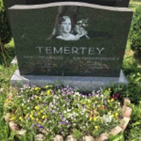 Ilia Temertey