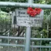 Людмила Янишевская