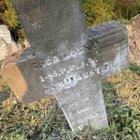 Bosko Ceca