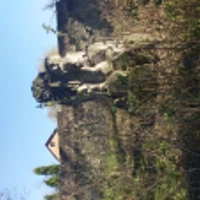 Mateusz Lasocki