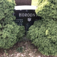 Михайло Horodnyk