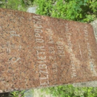 Elžbieta Opocka