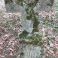 Paraskewia Lewko