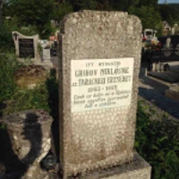 Miklósné Gribov