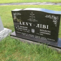 Levy