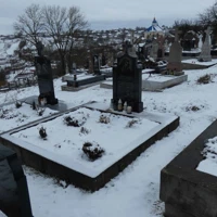 Володимир Гнитка