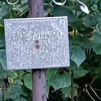 Марія Сметана