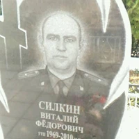Виталий Силкин