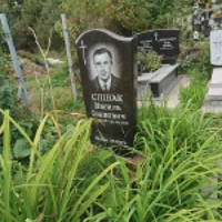 Василь Співак