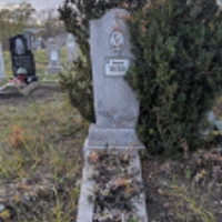 Палашка Вакула