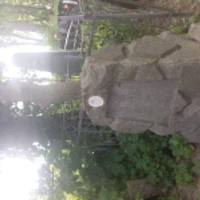 Konegunda Nikolina