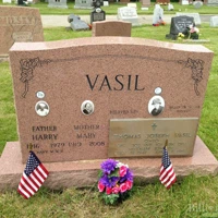 Harry Vasil
