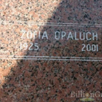 Zofia Opaluch