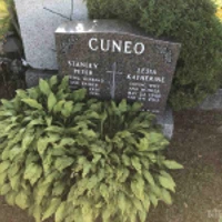 Stanley Cuneo