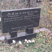 Герман Матисон
