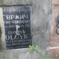 Gustaw Olcyk