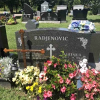 NIKOLA RADJENOVIC