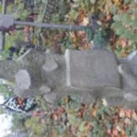 Marie Petrovičová