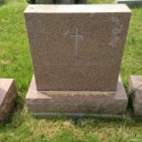 Stilla Trusz