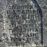 Пауліна Гвоздик