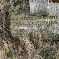 LIPNICKI MIKOŁAJ