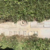 Danylo Pelech